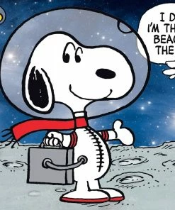 Best reviews of π€© Ceaco 100 Pieces Peanuts Moon Beagle π