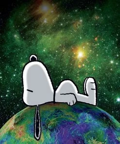 Brand new π Ceaco 100 Pieces Peanuts On Top Of The World π₯°