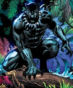 Deals π Buffalo Games 500 Pieces King Of WakandaΒ New β¨