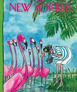 Buy β New York Puzzle Co 500 Pieces Flamingo Photographer π―