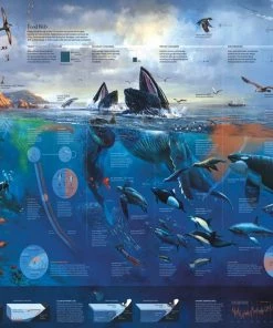 Best deal ✔️ New York Puzzle Co 1000 Pieces Pacific Coast ❤️