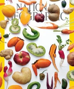 Best Pirce 🥰 New York Puzzle Co 1000 Pieces Too Good To Waste ⭐