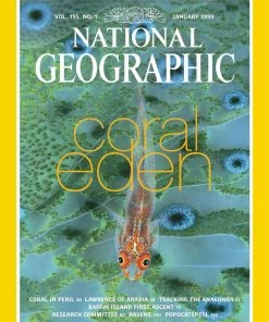 Discount 🤩 New York Puzzle Co 500 Pieces Coral Eden ❤️