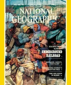 Flash Sale 🤩 New York Puzzle Co 1000 Pieces Underground Railroad ⌛