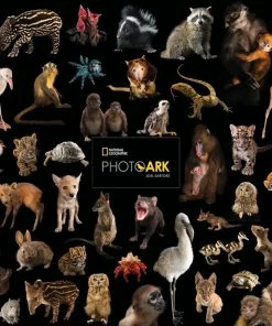 Best Sale 🎁 New York Puzzle Co 500 Pieces Photo Ark Baby Animals ✔️