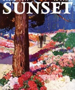 Deals 🔔 New York Puzzle Co 1000 Pieces Garden Walk 🤩