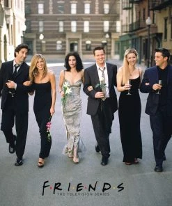 Brand new 😉 Aquarius 500 Pieces Friends Wedding ✨