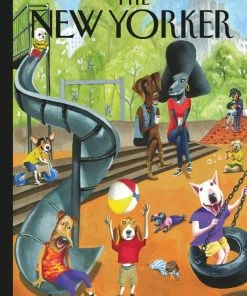 Coupon 🧨 New York Puzzle Co 1000 Pieces Off The Leash 😉